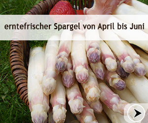 Hof Körner: erntefrischer Spargel von April bis Juni