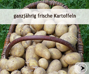 Hof Körner: frische Kartoffeln vom Hof - das ganze Jahr über
