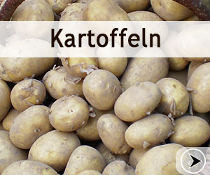 Hof Körner: frische Kartoffeln ab Hof - das ganze Jahr über